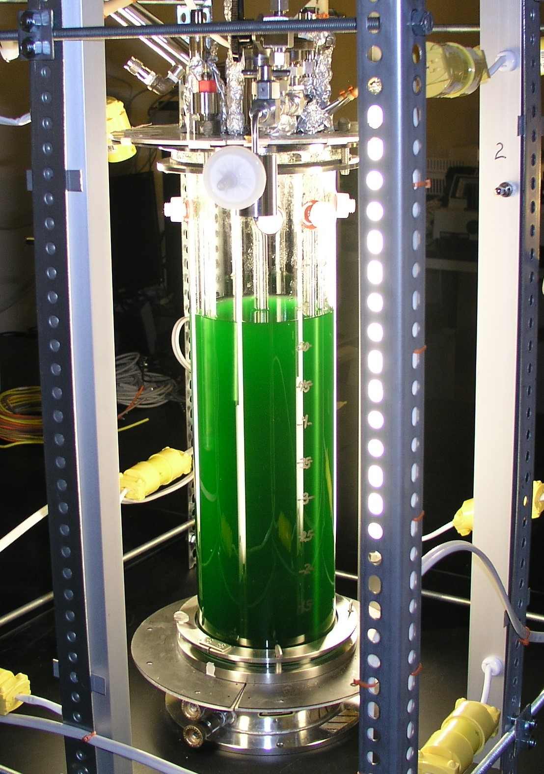cell growth in bioreactor